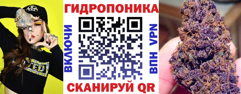 omg ссылка  Сызрань  МАРИХУАНА семена  дарнет шоп 